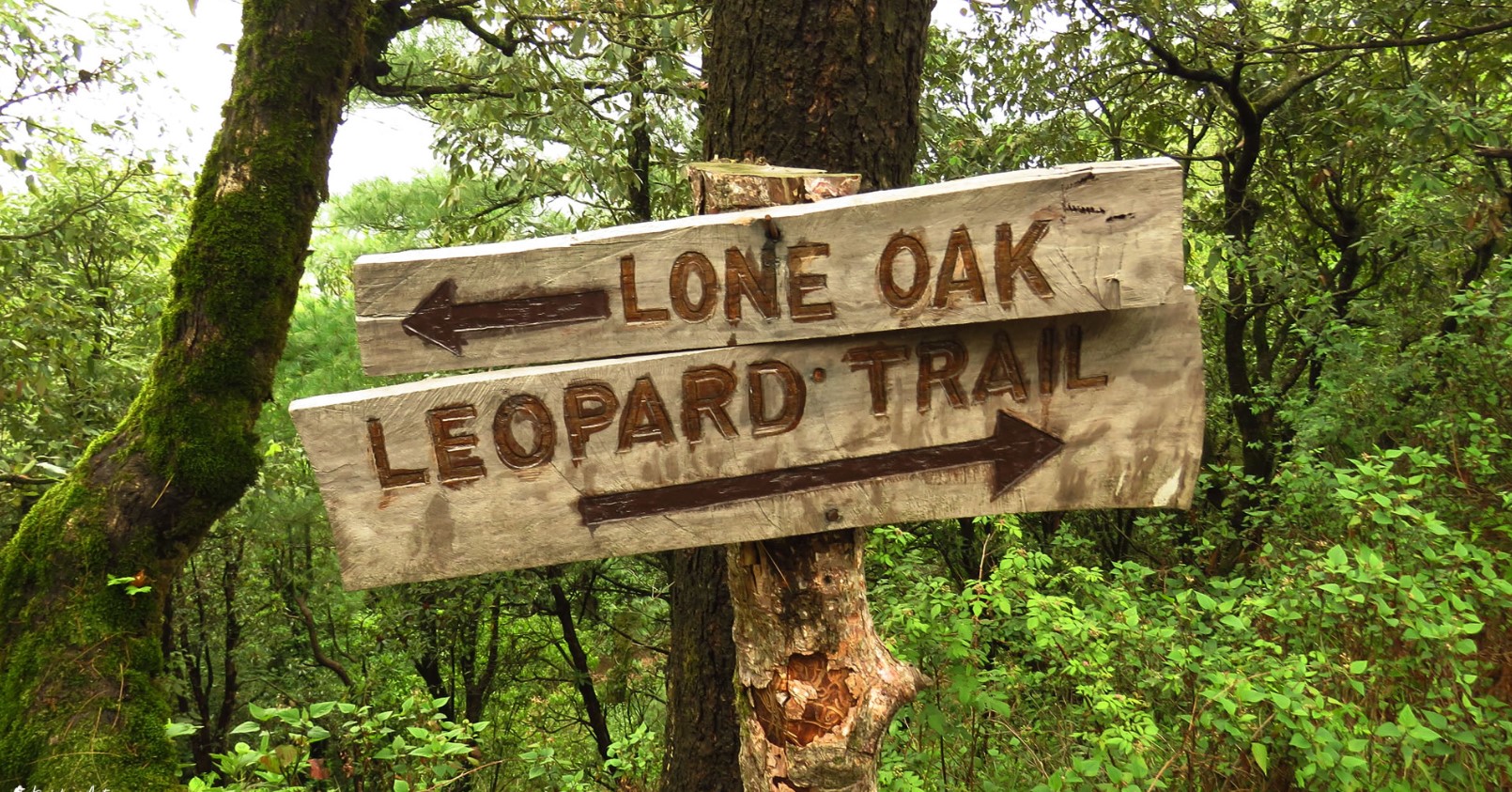 Jhabarkhet Nature Reserve